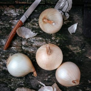 Oignon doux des Cévènnes