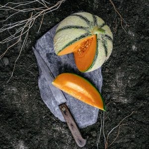 MELON DU QUERCY