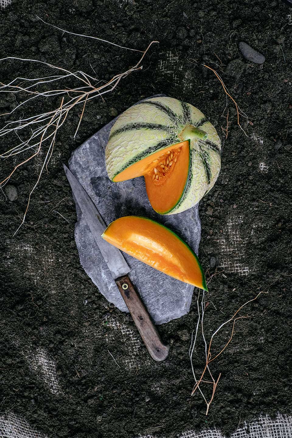 MELON-DU-QUERCY-HD_retouche_peau_melon