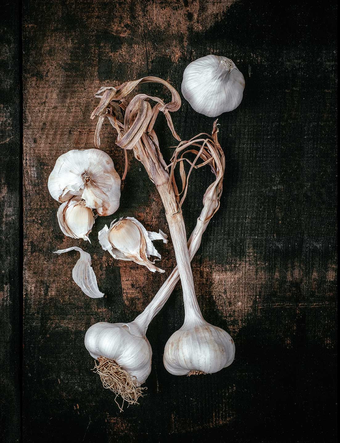 ail-blanc-de-lomagne-produit