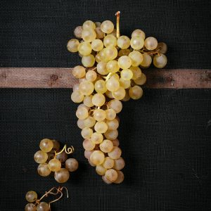 Chasselas de Moissac