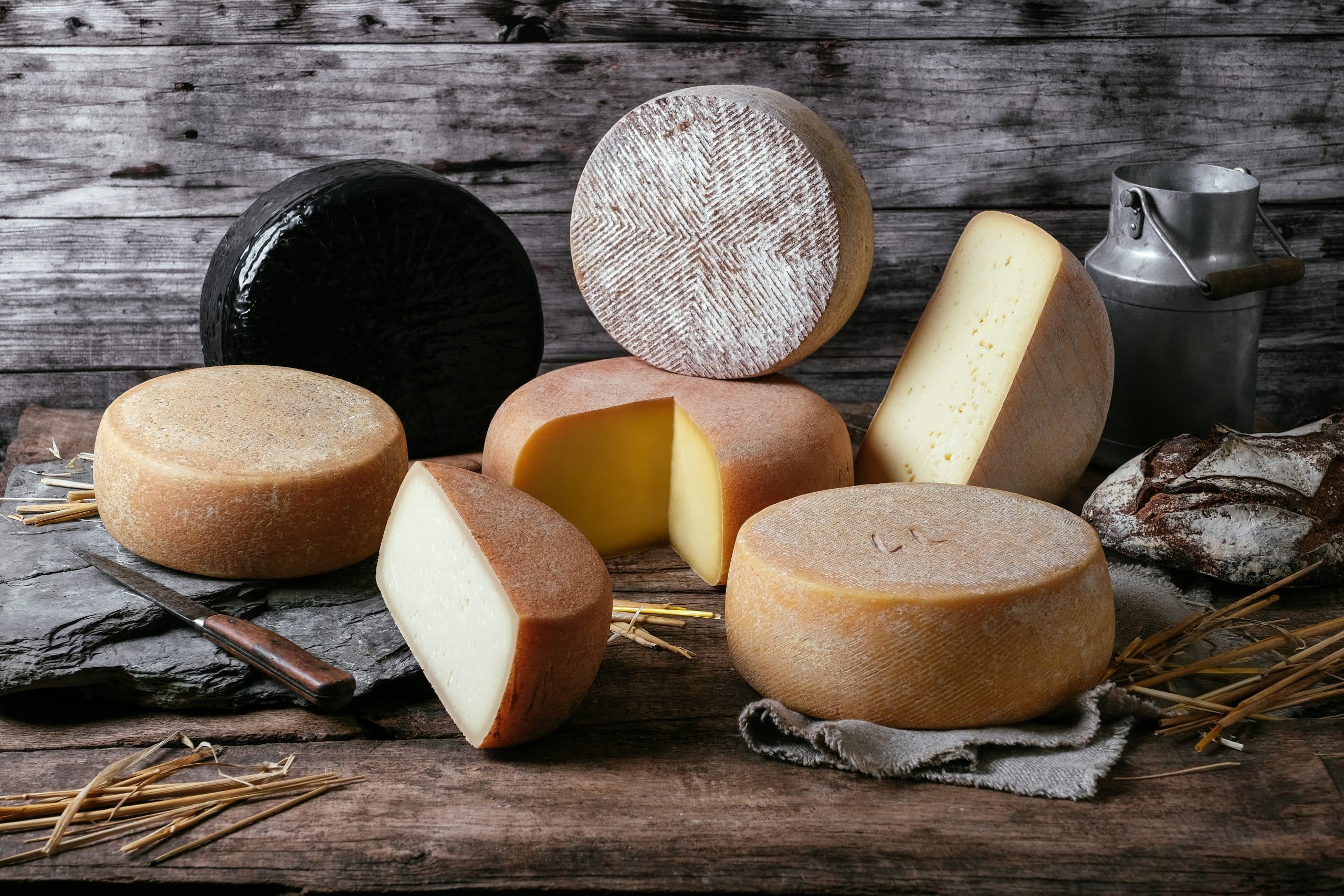 gamme tomme des pyrenees HD format paysage