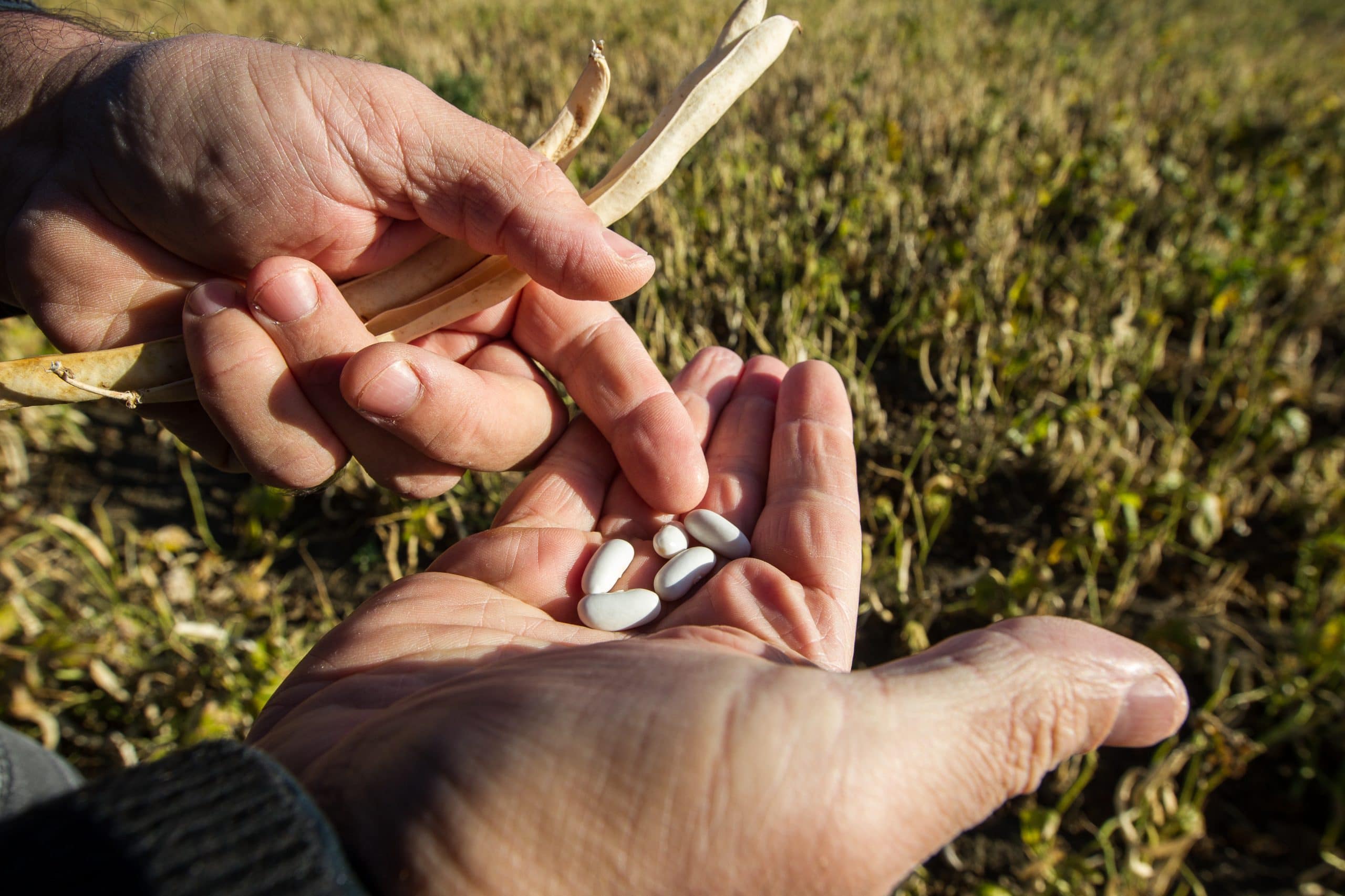 produit eco responsable hérault