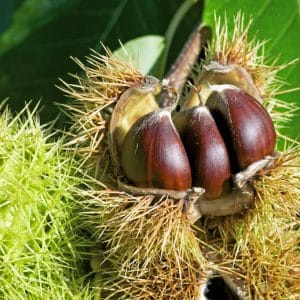 produit eco responsable hérault