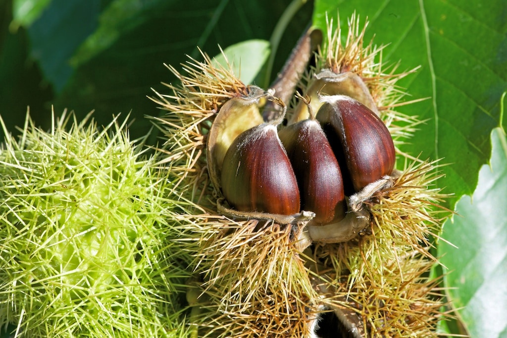 produit eco responsable hérault