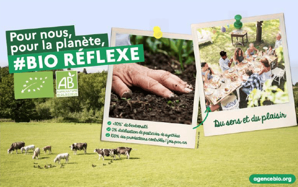 BioReflexe (002)
