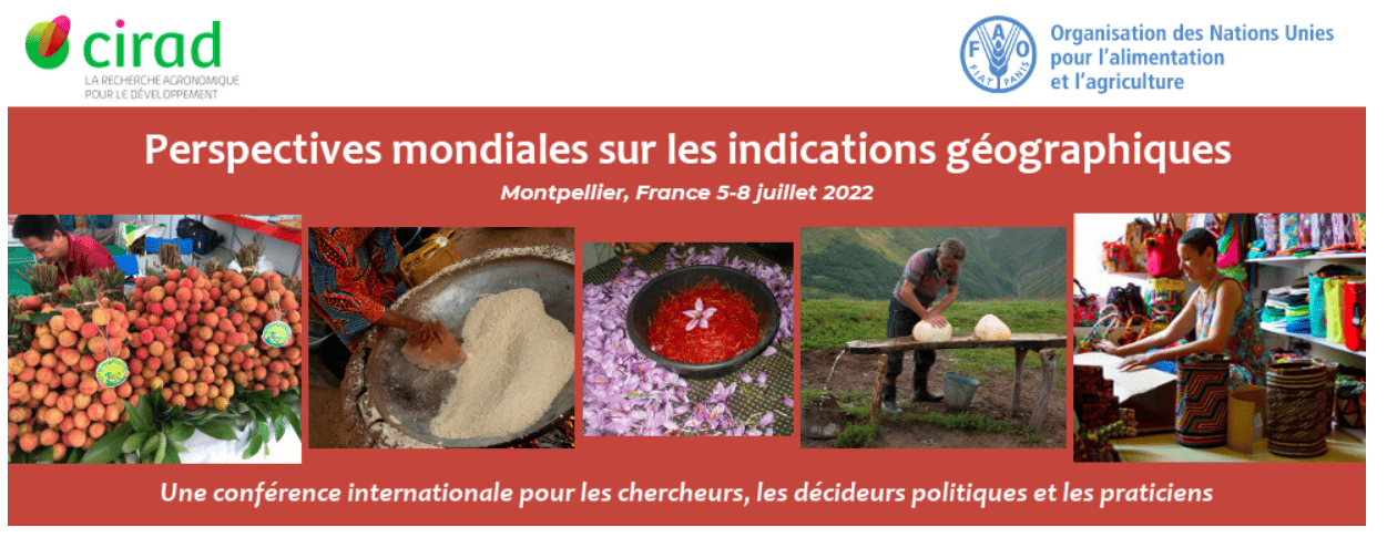 Capture d’écran 2022-06-28 102056