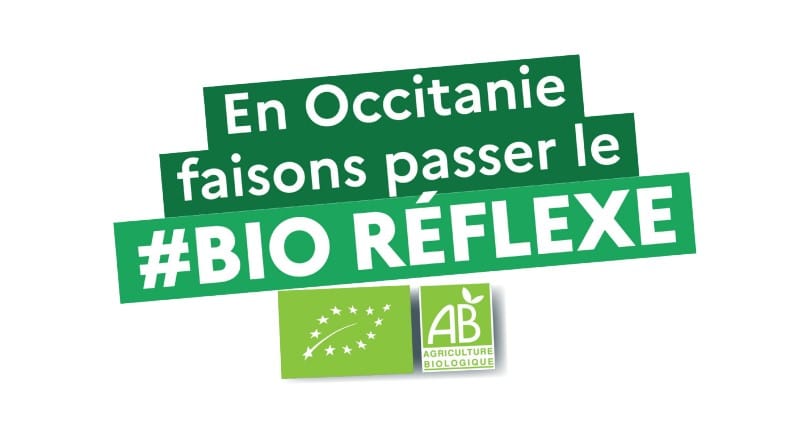Capture d’écran 2023-02-22 101932