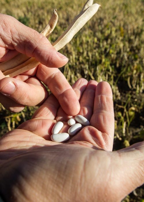 produit eco responsable hérault