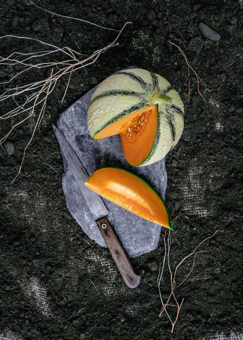 MELON-DU-QUERCY-HD_retouche_peau_melon