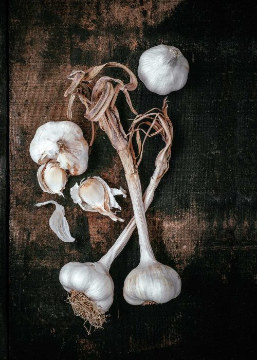 ail-blanc-de-lomagne-produit